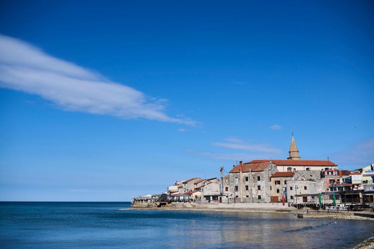 Royal Blue * Umag